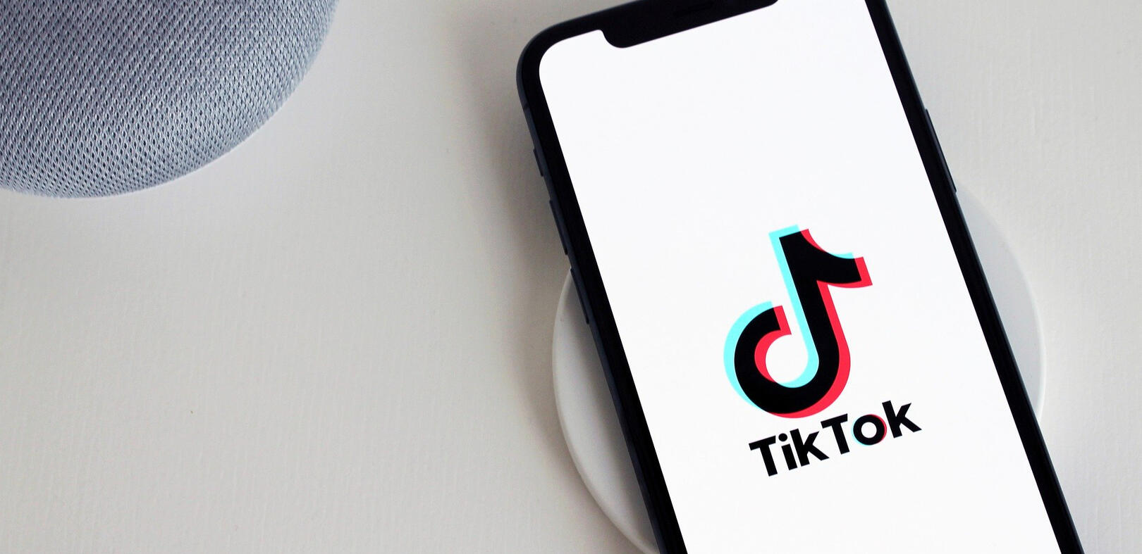 Tiktok Usernames Search